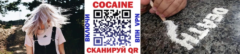 Кокаин Fish Scale  Купить закладки  Богучар 