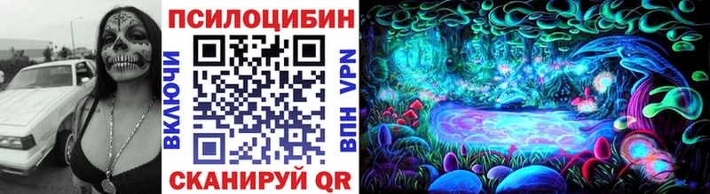 Купить закладки  Богучар  Псилоцибиновые грибы GOLDEN TEACHER 